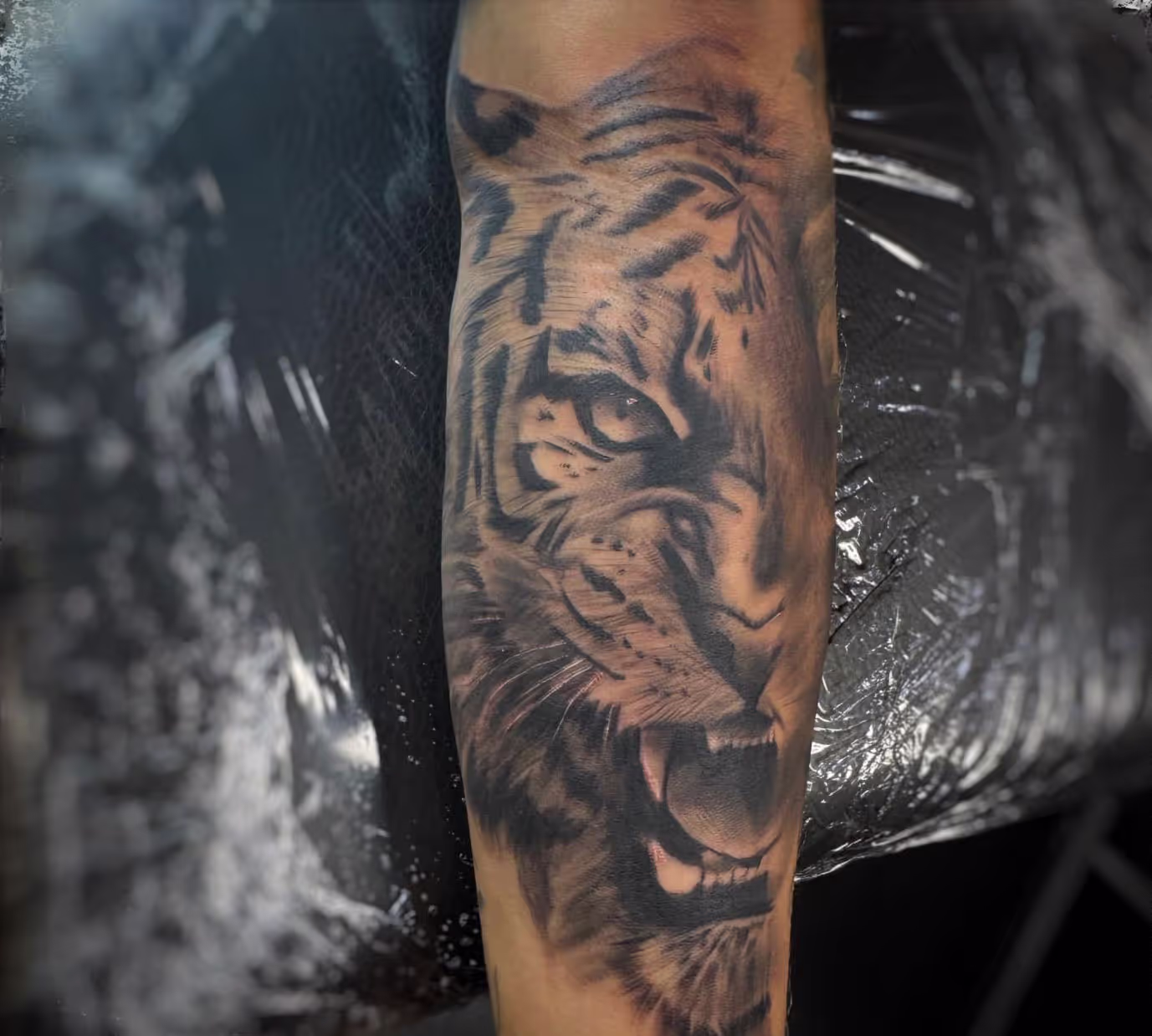 Tattoo Company Dresden